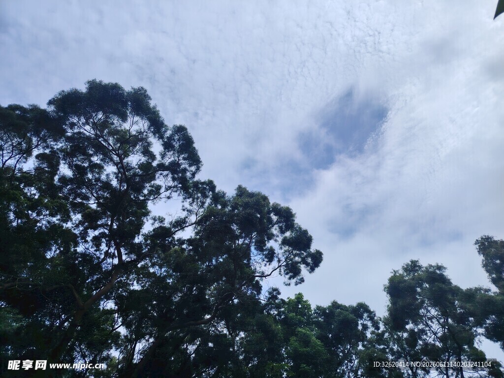 蓝天绿树自然风光图