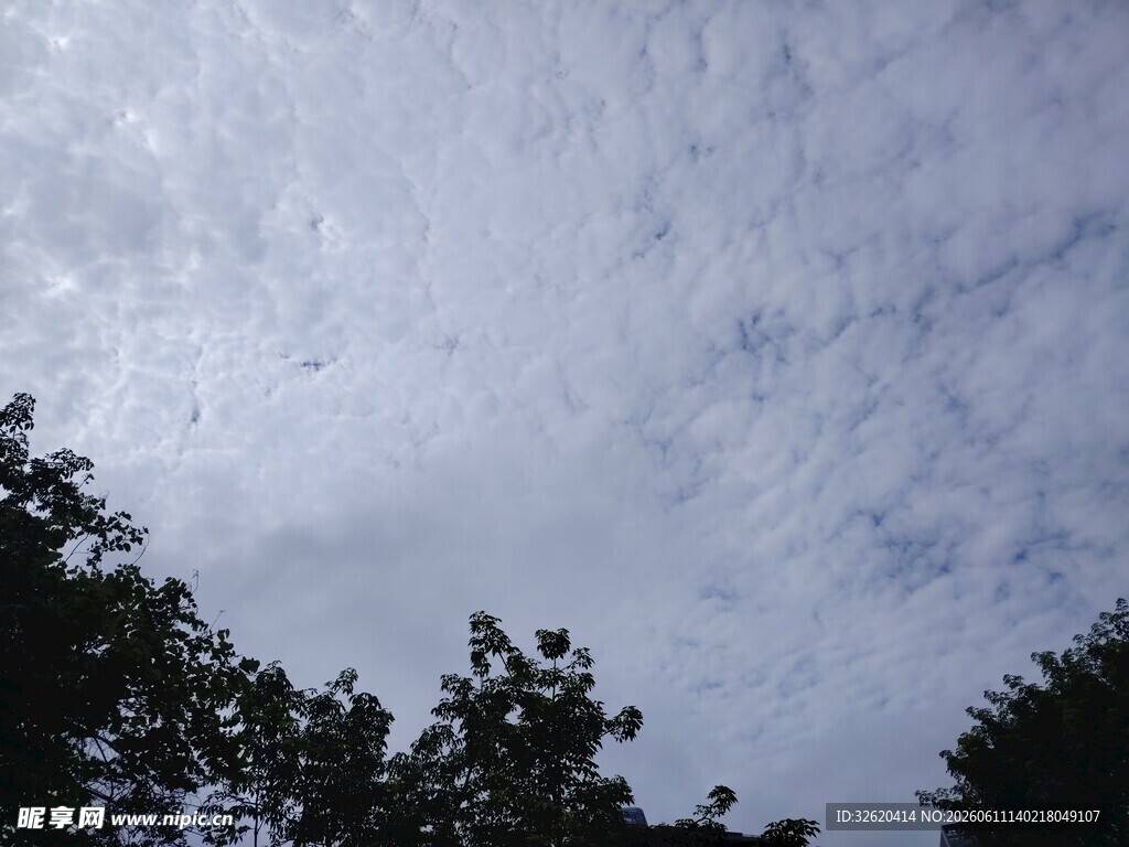 天空中的絮状云朵