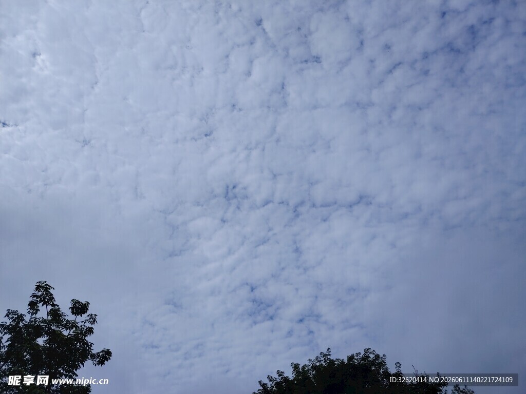 天空中的云朵与树梢
