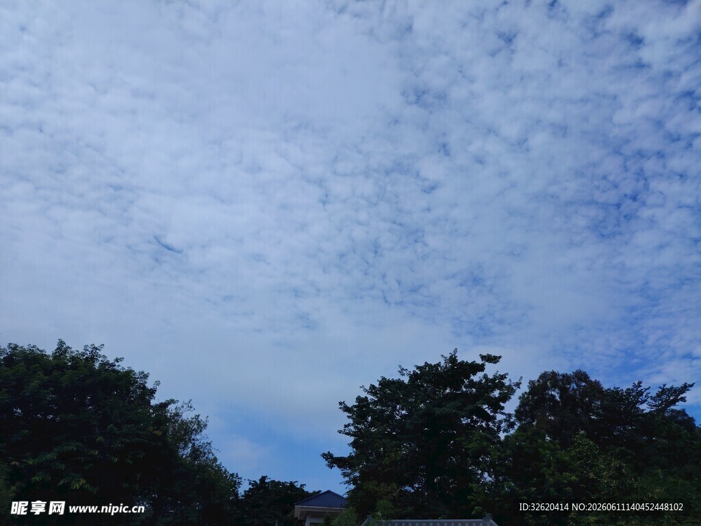 蓝天绿树间的美丽云景