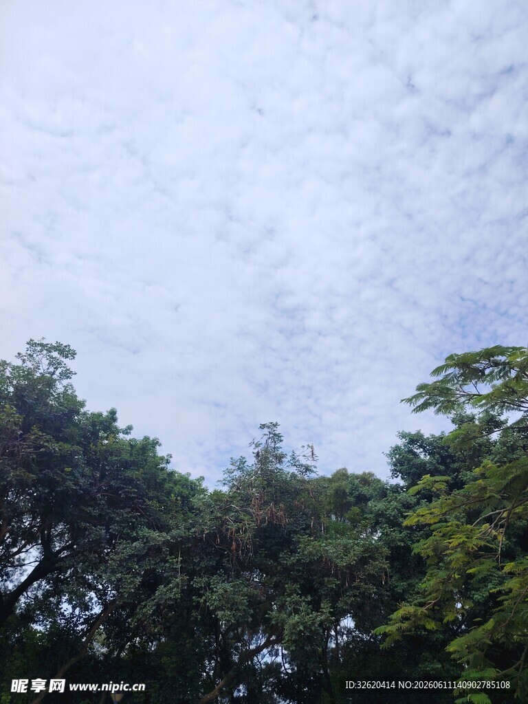 绿树蓝天的清新景致