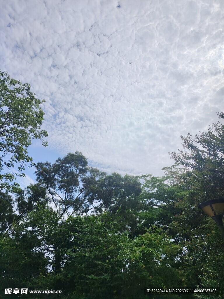 林间天空