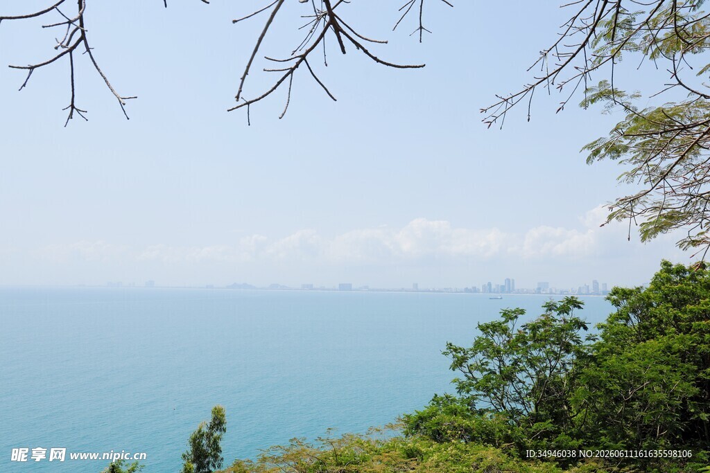 海边绿树环绕的美丽景致