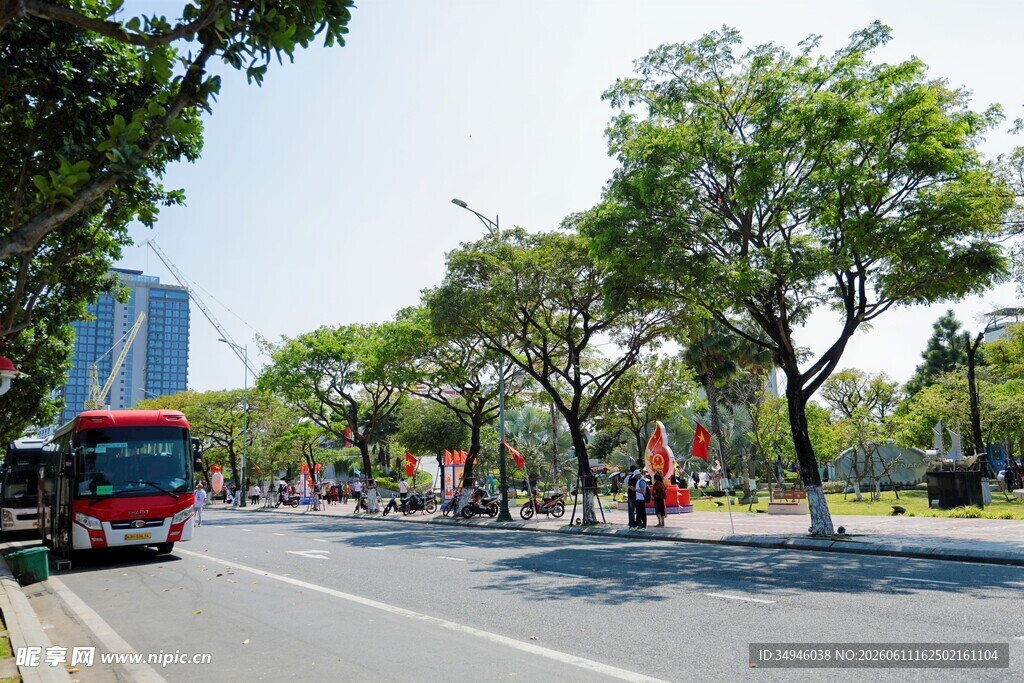 城市林荫大道公交景象