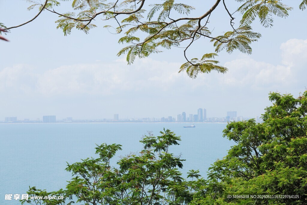 绿树掩映下的远方海景