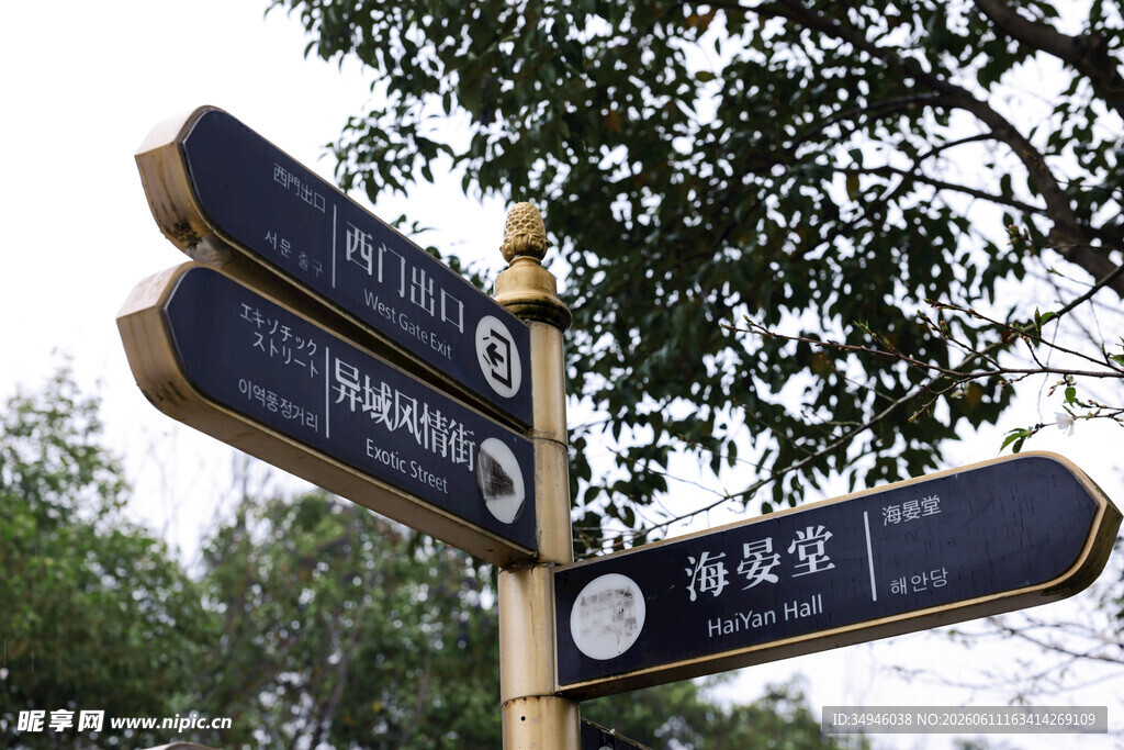 多方向指示路标