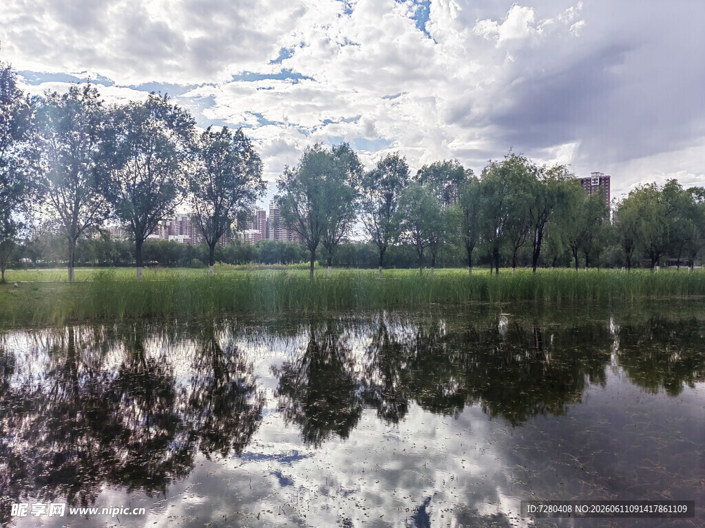 湖畔绿树倒影的宁静景致