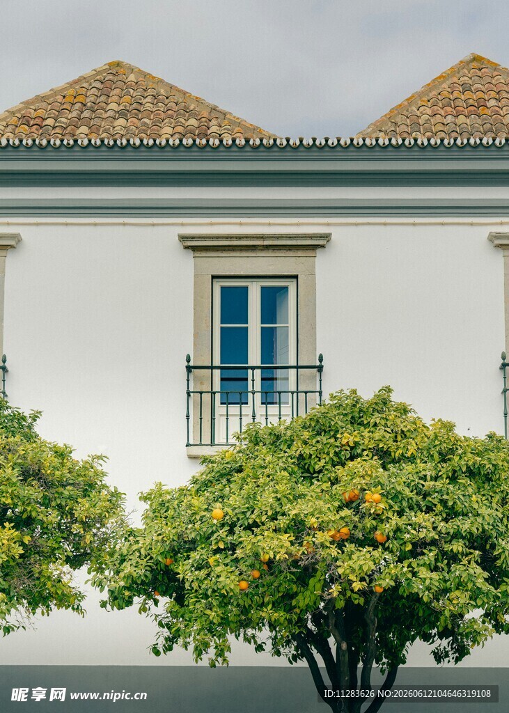 白色建筑前的绿植景观