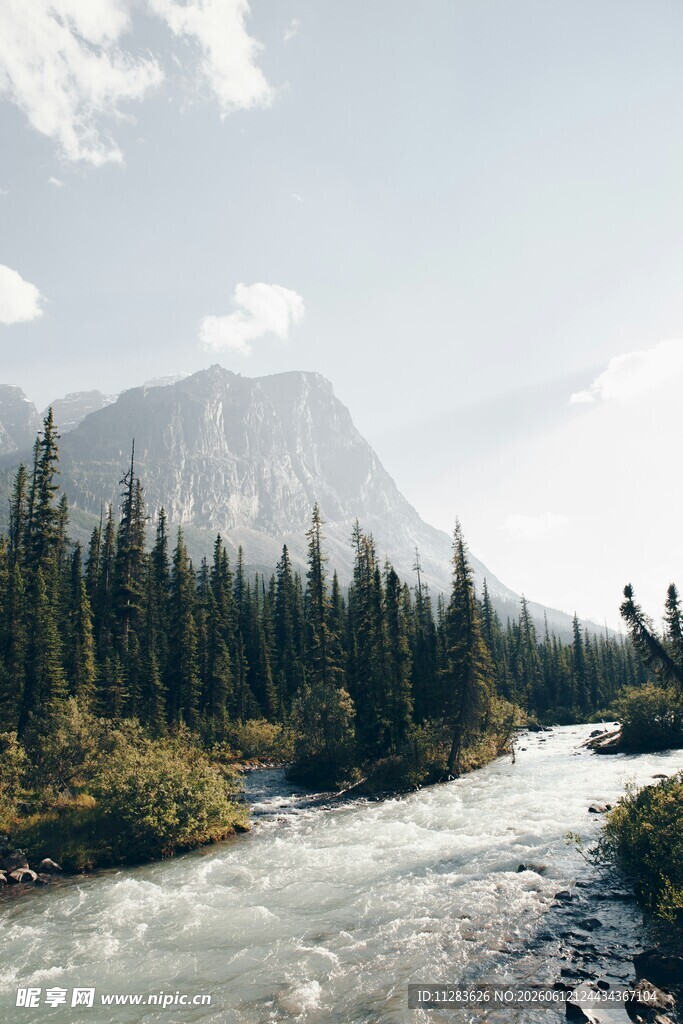 山间河流与茂密树林景观