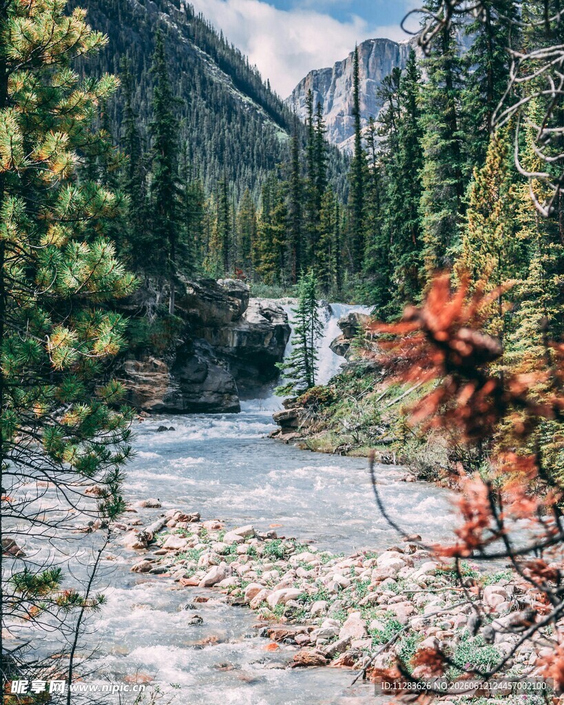 山间溪流旁的多彩自然景观