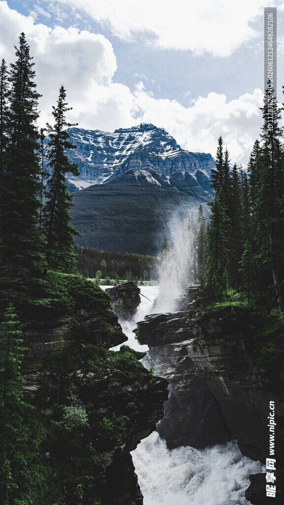 山间溪流与茂密森林景观