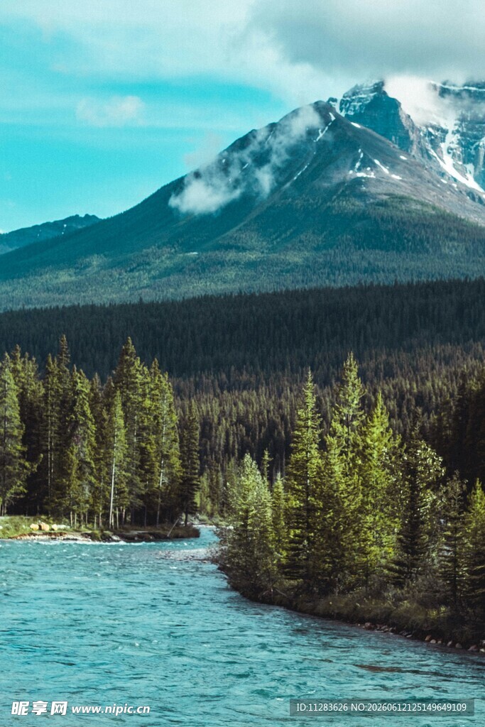 雪山下的河流森林景观