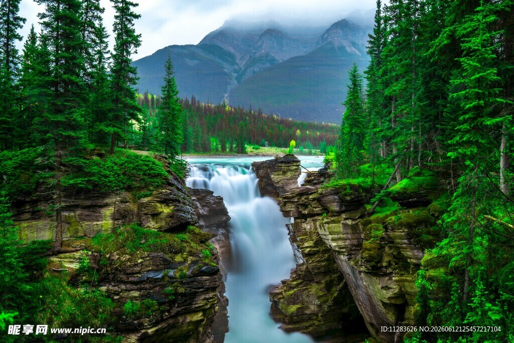 山间溪流穿林而过的美景