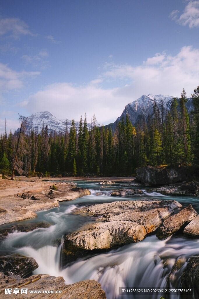 山间溪流与茂密森林景观