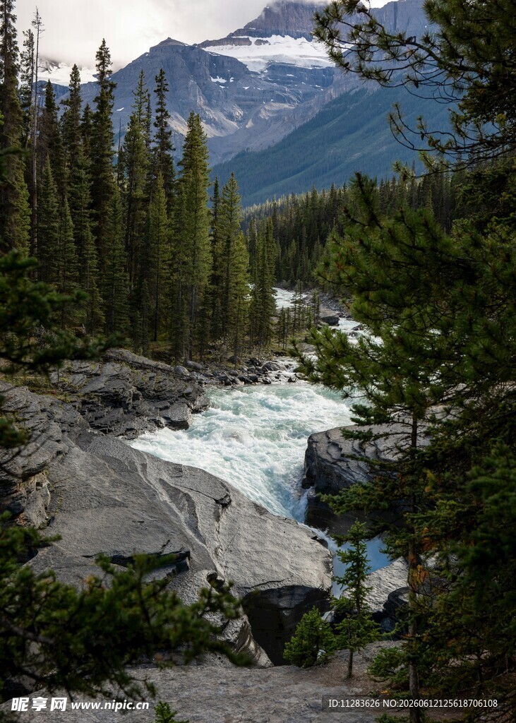 山间湍急溪流与茂密森林