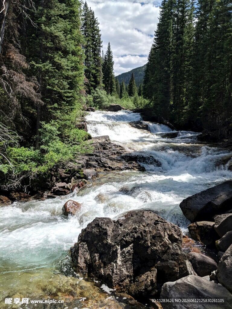 山间湍急溪流穿林而过