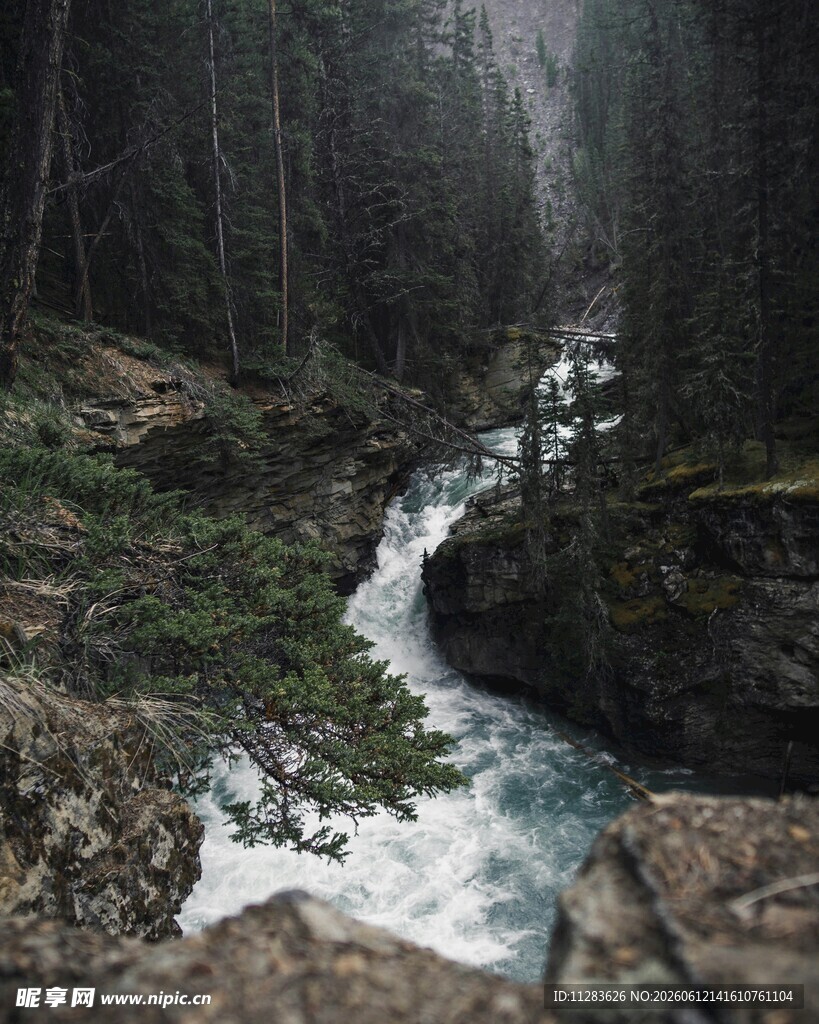 山间溪流雾霭中的自然美景