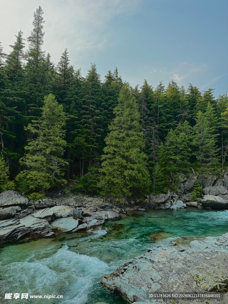 山间清澈溪流与茂密森林