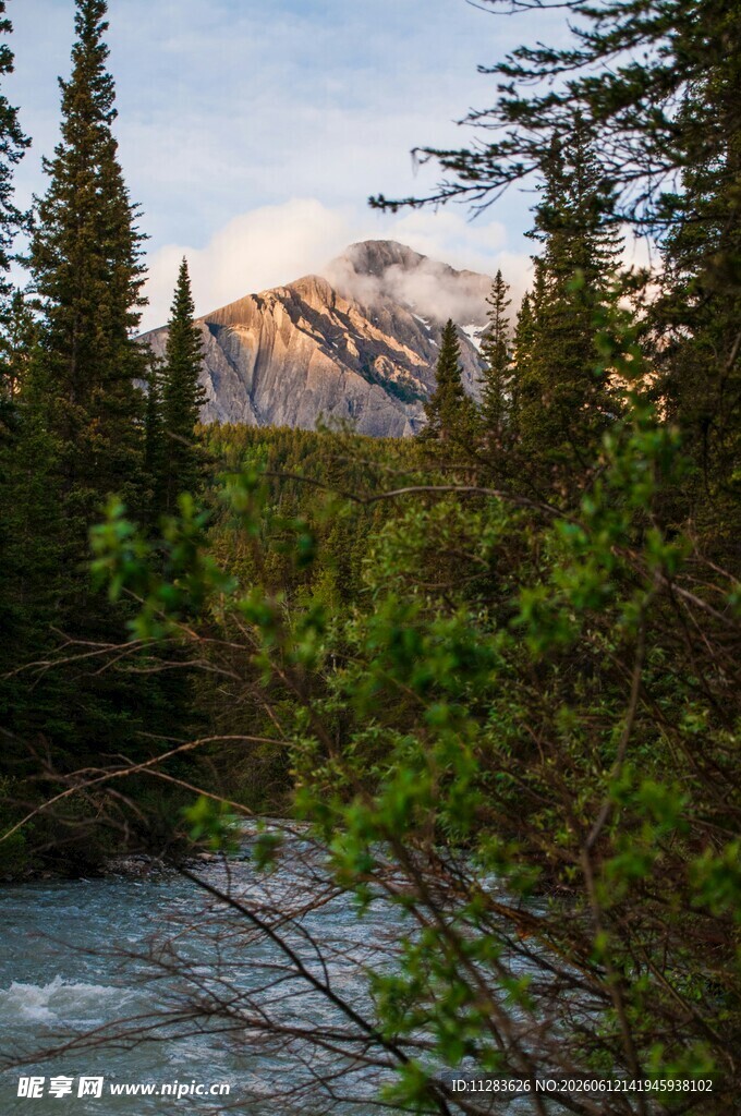 山林河畔的美丽自然景观