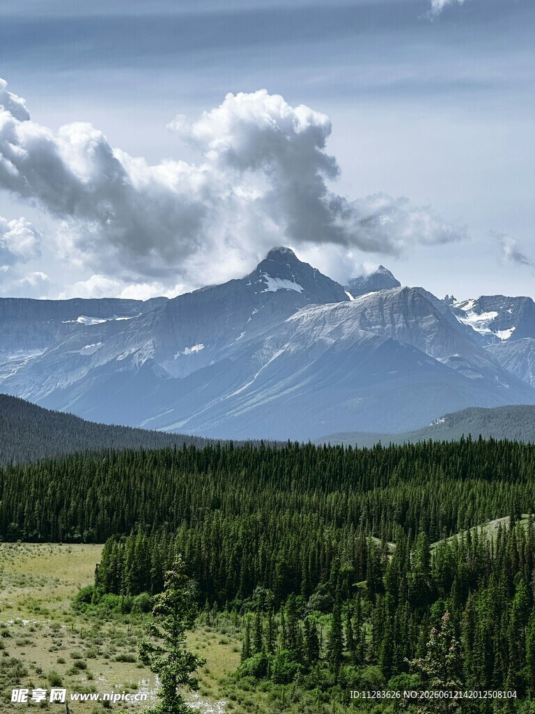 壮丽山景与葱郁森林