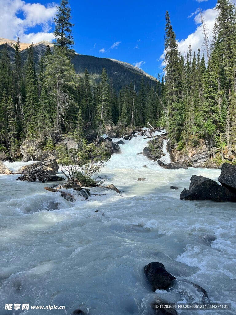 山间湍急溪流与茂密树林