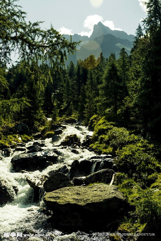 山间溪流绿意盎然的景致