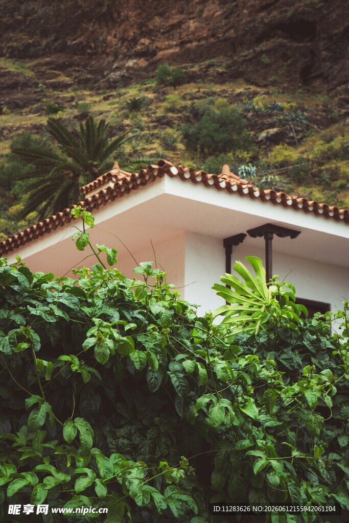 山间绿植环绕的白色小屋