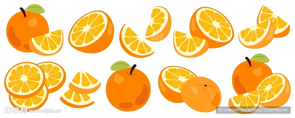 橙子插画素材