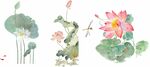 荷花