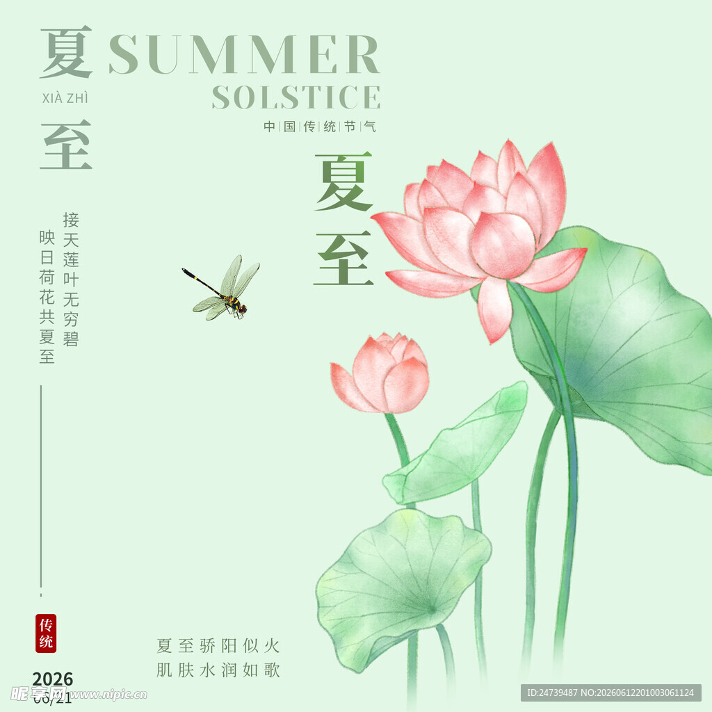 夏至素材