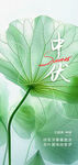 中伏节气清新荷叶手绘插画