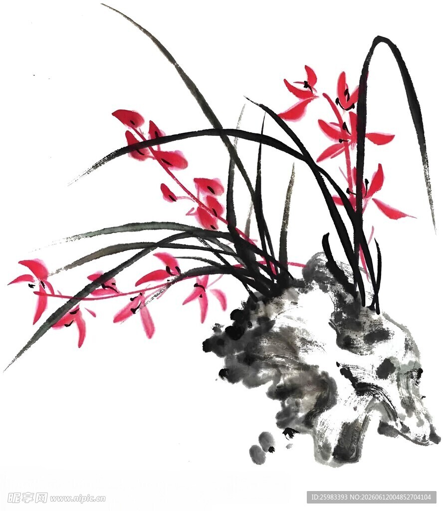 山石兰花图