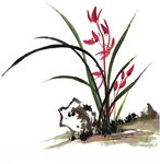 山石兰花图