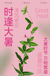 大暑时节海报设计
