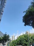 城市蓝天绿树风景