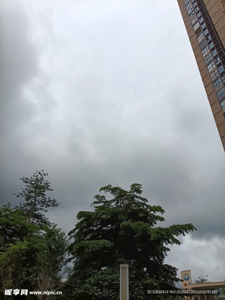 乌云笼罩下的城市绿植