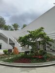 庭院绿植景观一角