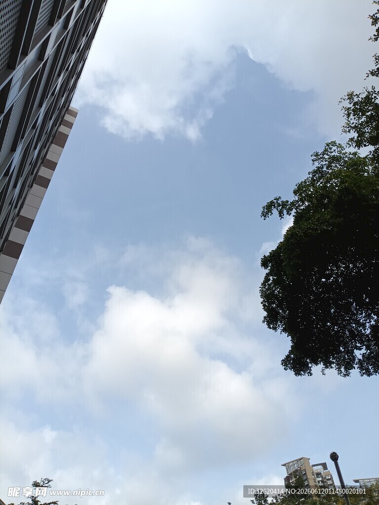 天空下的建筑与绿树