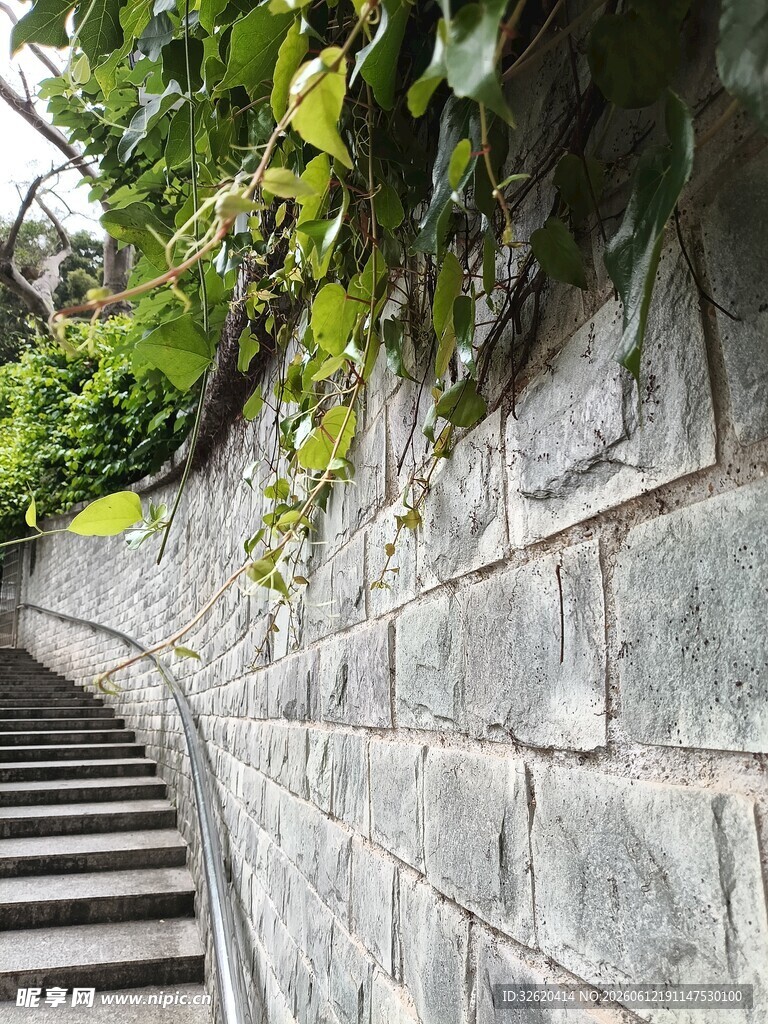 石墙旁蜿蜒的绿植阶梯