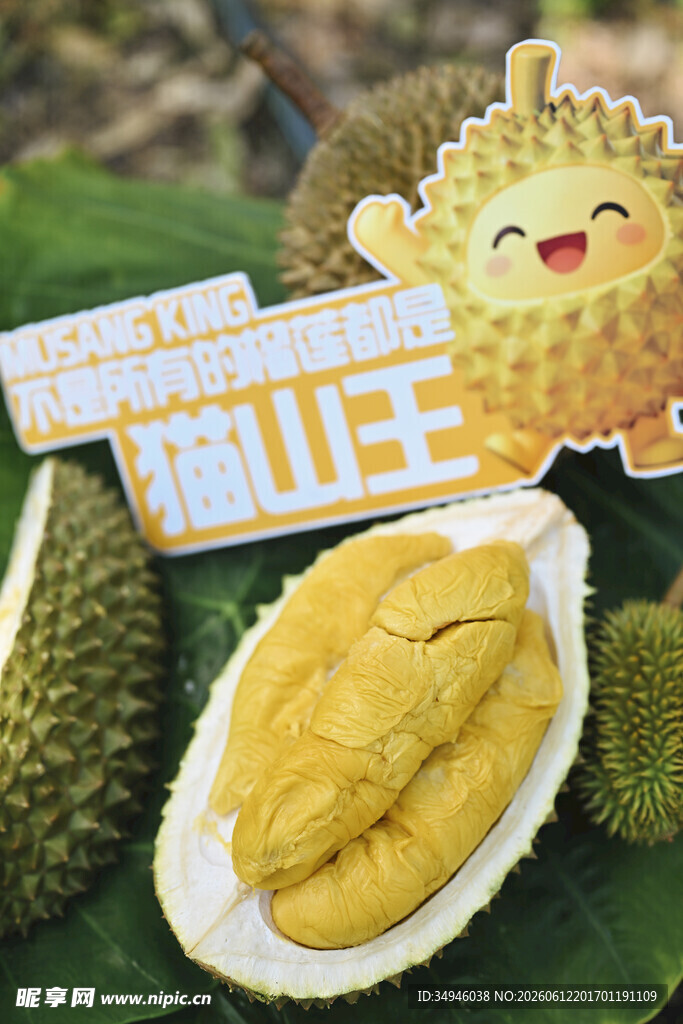 可爱榴莲造型