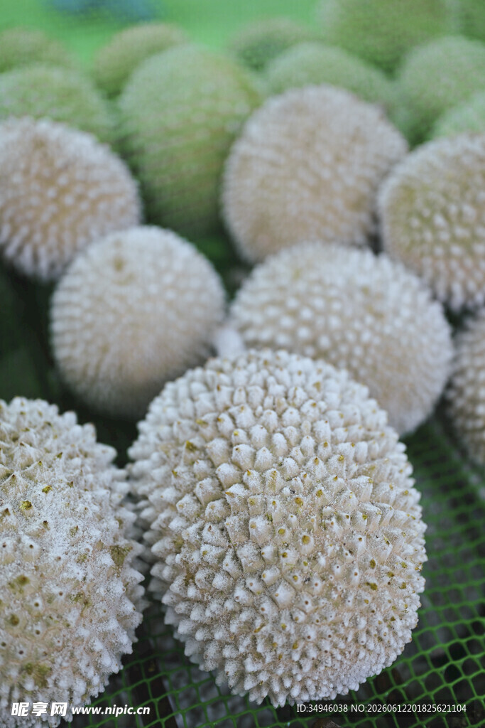 榴莲