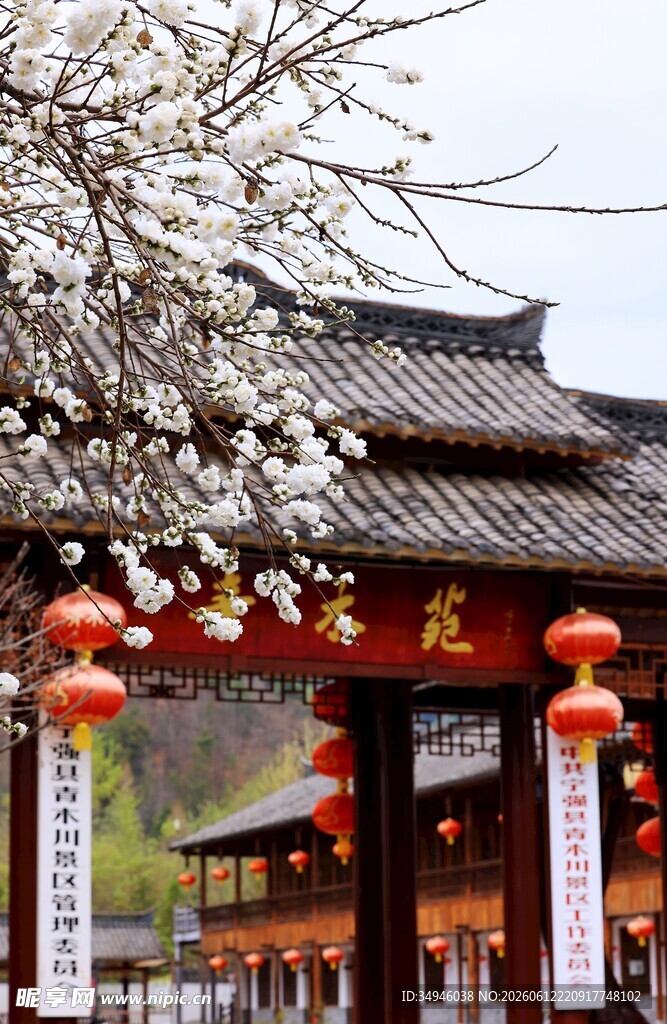 古建繁花景