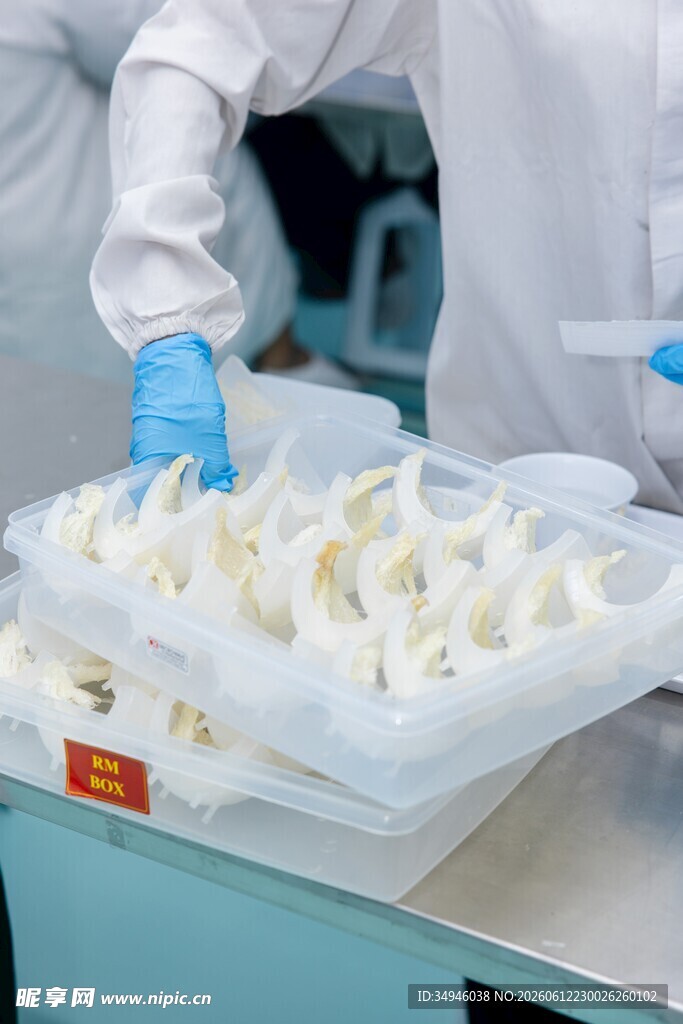 工人进行食品分拣操作