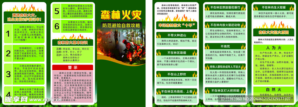 森林火灾自救攻略折页