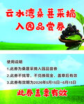 云水湾桑葚采摘入园营销