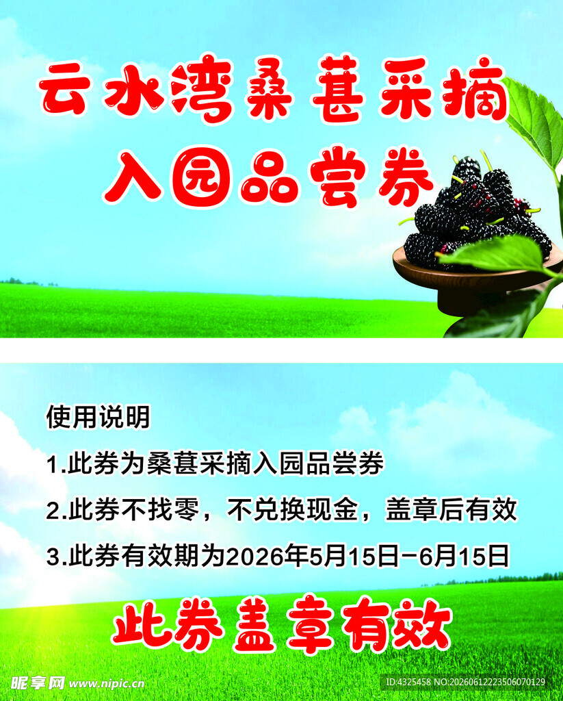 云水湾桑葚采摘入园营销