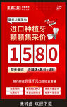 进口种植牙集采价1580元