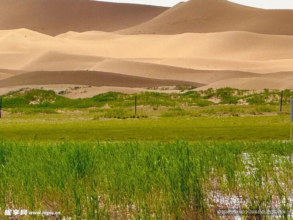 沙漠绿洲