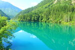 碧绿湖水映山林美景