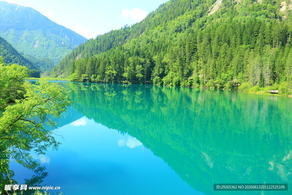 碧绿湖水映山林美景
